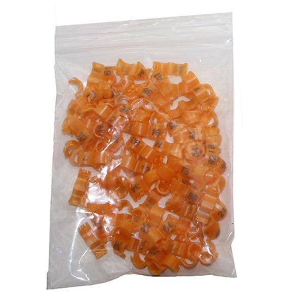 Vibrant Bird Foot Ring Assortment - Enhance Your Avian Collection!